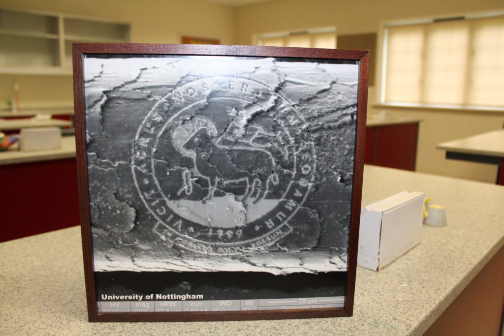 Etching of Ockbrook School logo onto a hair